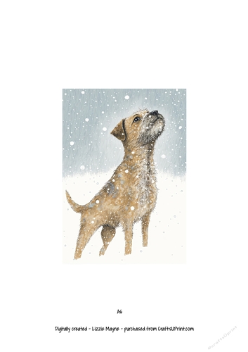 Border Terrier dog looking up at the snow