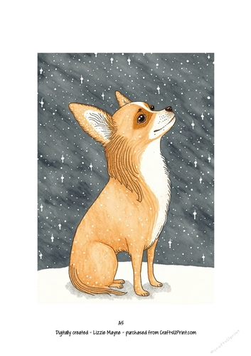 Chihuahua dog looking up at the snow
