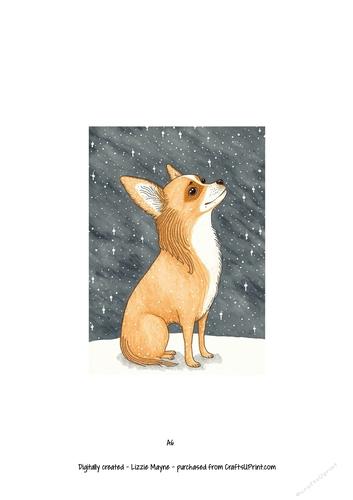 Chihuahua dog looking up at the snow