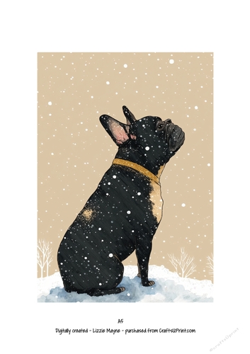 French Bulldog - frenchie dog looking up at the snow