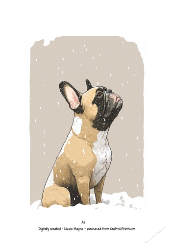 French bulldog, Frenchie dog looking up at the snow