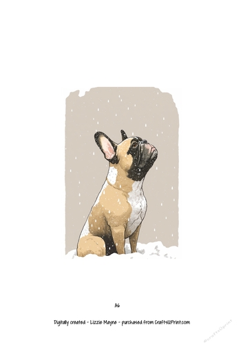 French bulldog, Frenchie dog looking up at the snow