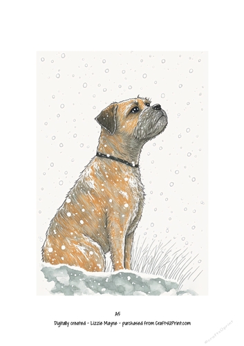 Border Terrier dog looking up at the snow