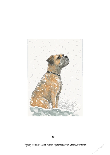 Border Terrier dog looking up at the snow