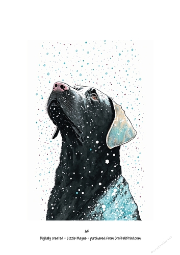 Labrador dog looking up at the snow
