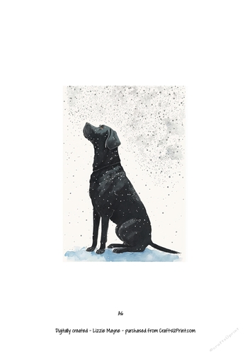 Labrador dog looking up at the snow