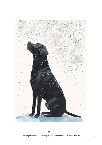 Labrador dog looking up at the snow