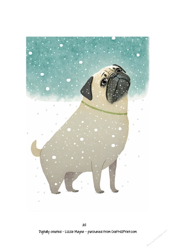 Pug dog looking up at the snow
