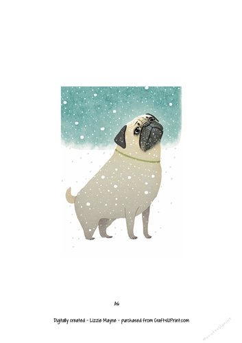Pug dog looking up at the snow