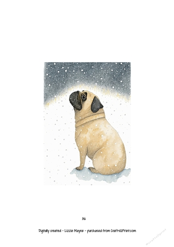 Pug dog looking up at the snow