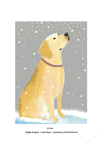 Golden labrador looking up at the snow