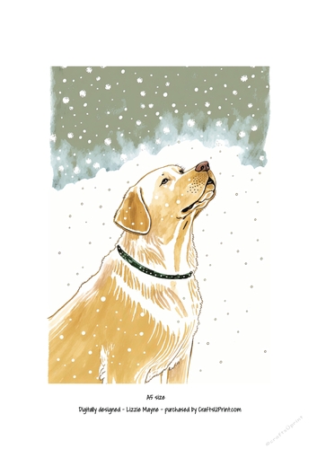 Golden labrador looking up at the snow