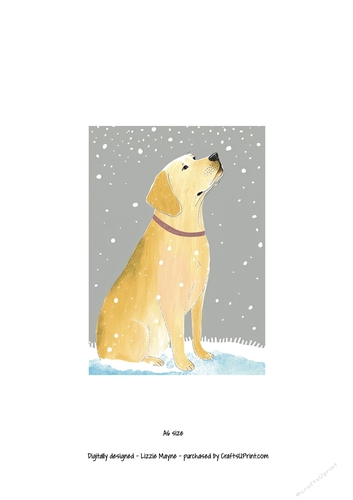 Golden labrador looking up at the snow
