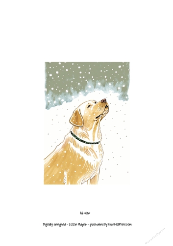 Golden labrador looking up at the snow