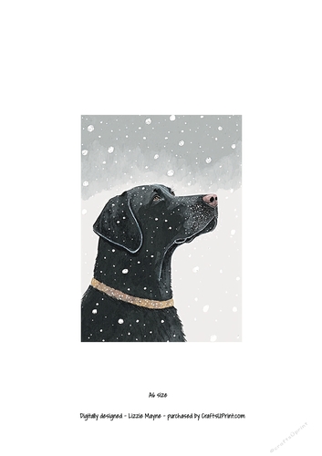 Black labrador looking up at the snow