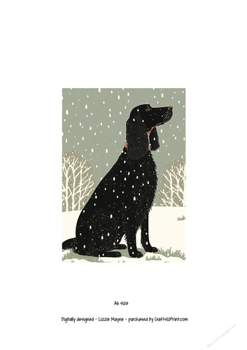 Gordon setter looking up at the snow