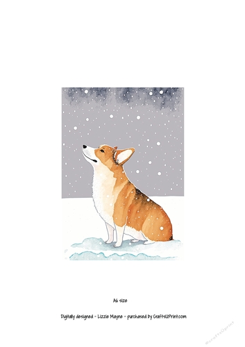 Corgi looking up at the snow