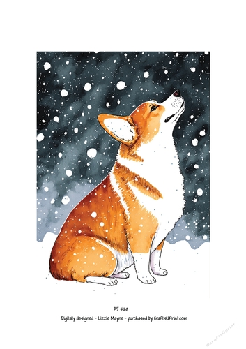 Corgi looking up at the snow