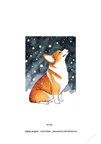 Corgi looking up at the snow
