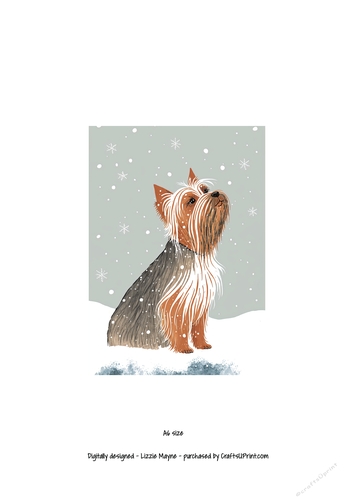 Yorkshire terrier looking up at the snow