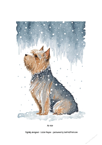 Yorkshire terrier looking up at the snow