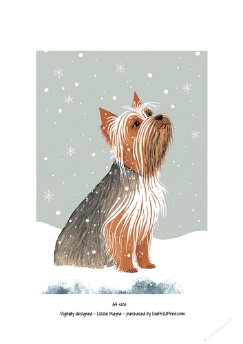 Yorkshire terrier looking up at the snow