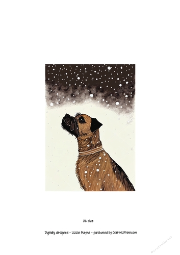 Border terrier looking up at the snow