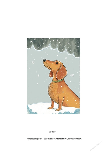 Dachshund looking up at the snow