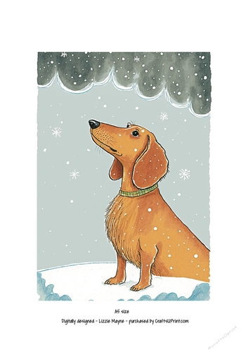 Dachshund looking up at the snow