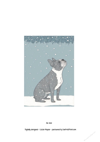 French bulldog looking up at the snow