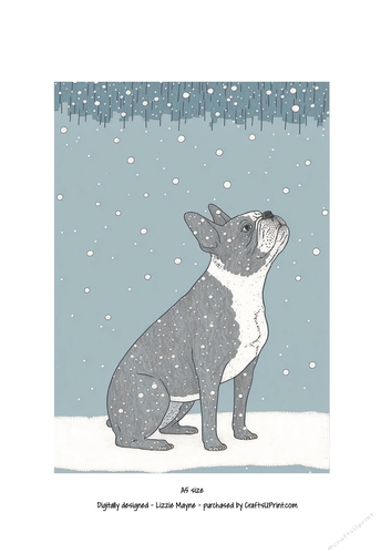French bulldog looking up at the snow