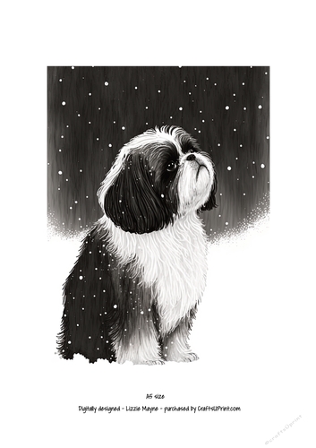 A Shih Tzu looking up at the snow