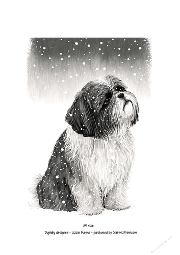 A Shih Tzu looking up at the snow