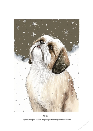 A Shih Tzu looking up at the snow