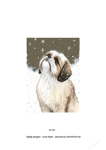 A Shih Tzu looking up at the snow