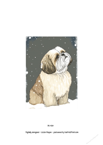 A Shih Tzu looking up at the snow