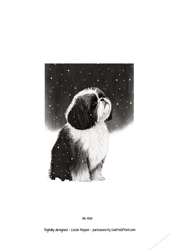 A Shih Tzu looking up at the snow