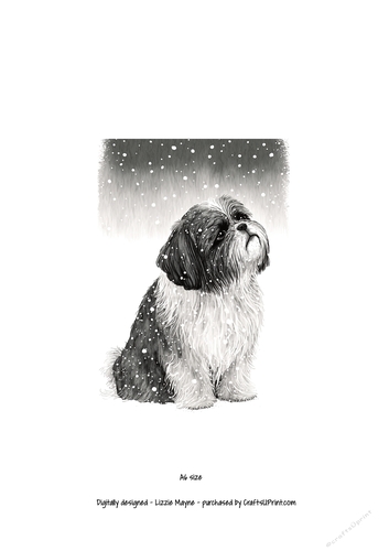 A Shih Tzu looking up at the snow