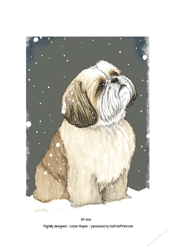 A Shih Tzu looking up at the snow