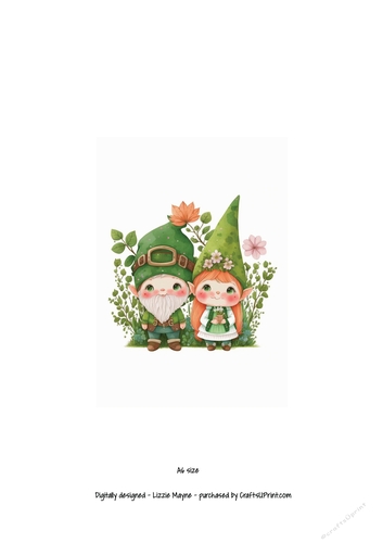 St Patricks Day leprechaun couple