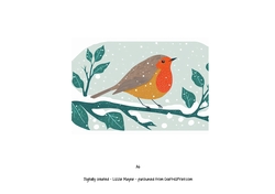 Robin in the snow.