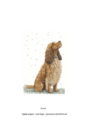 Cocker spaniel looking up at the snow