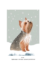 Yorkshire terrier looking up at the snow