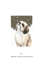 A Shih Tzu looking up at the snow