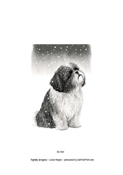 A Shih Tzu looking up at the snow