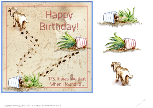 Naughty Dog Birthday Card 7x7 quick card