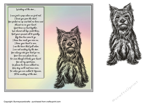 Yorkshire Terrier 7x7 pet sympathy card