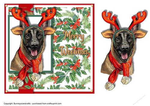 Belgian Malinois Christmas