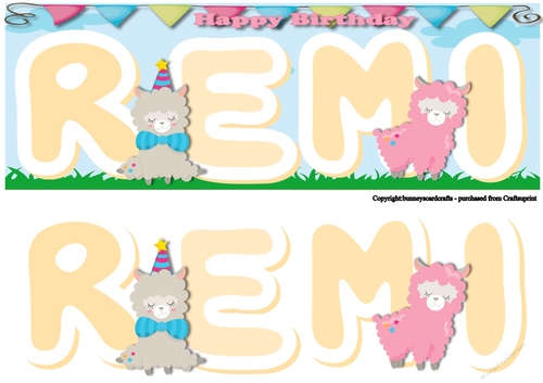 Llama Birthday Card Large DL  - Remi