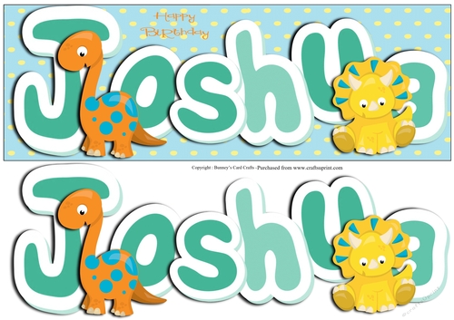 Dinosaur Large DL  3D decoupage- Joshua  Birthday Card